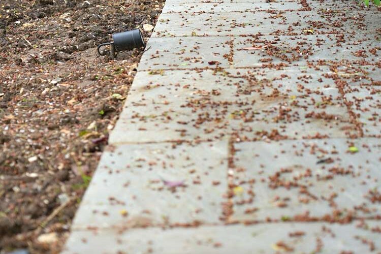 Garden Recording Studio & Landscaping Buckinghamshire. New Home Improvement group.